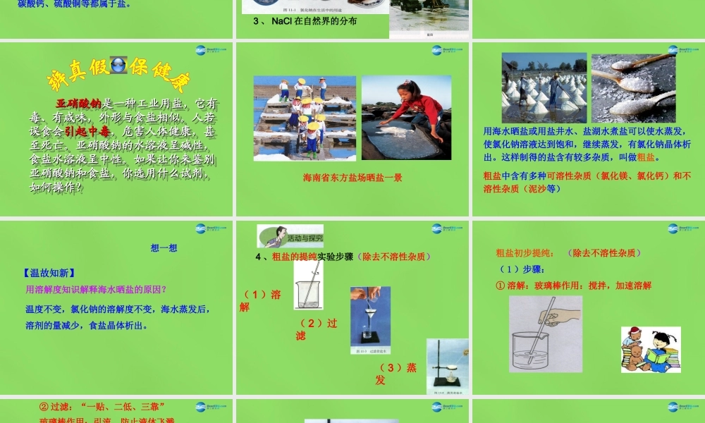 人教初中化学九下《11课题1生活中常见的盐》PPT课件 (21).ppt