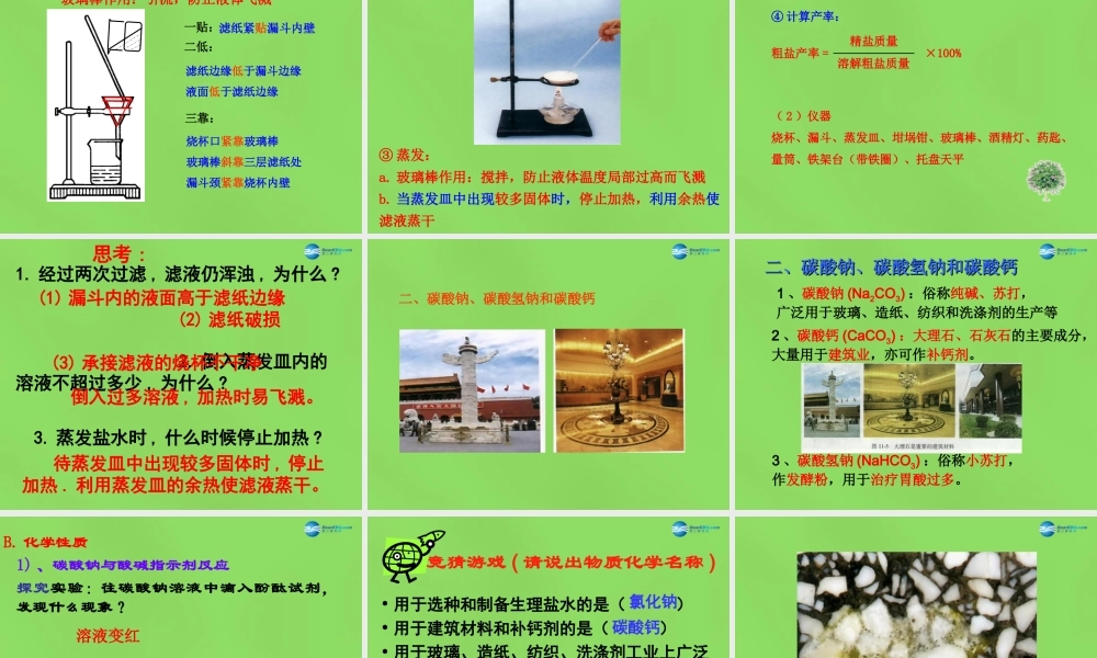 人教初中化学九下《11课题1生活中常见的盐》PPT课件 (21).ppt