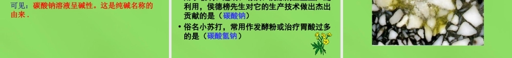 人教初中化学九下《11课题1生活中常见的盐》PPT课件 (21).ppt