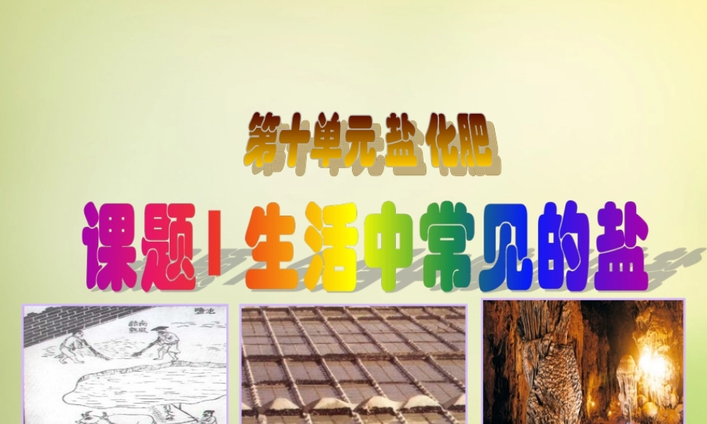 人教初中化学九下《11课题1生活中常见的盐》PPT课件 (26).ppt