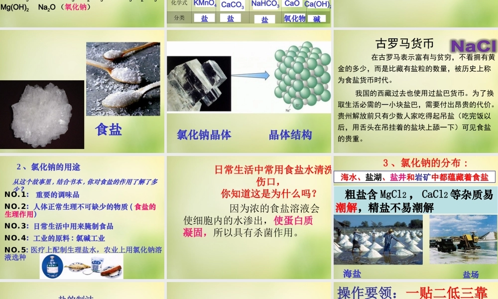 人教初中化学九下《11课题1生活中常见的盐》PPT课件 (26).ppt