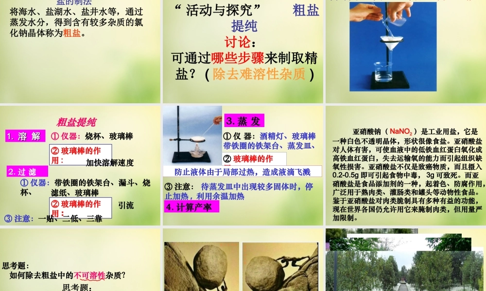 人教初中化学九下《11课题1生活中常见的盐》PPT课件 (26).ppt