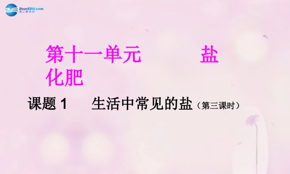 人教初中化学九下《11课题1生活中常见的盐》PPT课件 (24).ppt