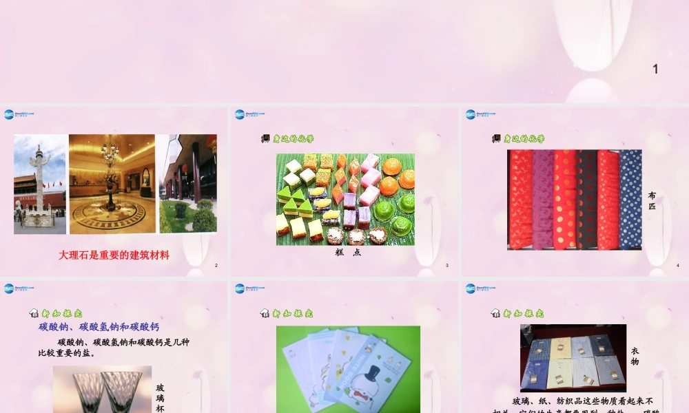 人教初中化学九下《11课题1生活中常见的盐》PPT课件 (23).ppt