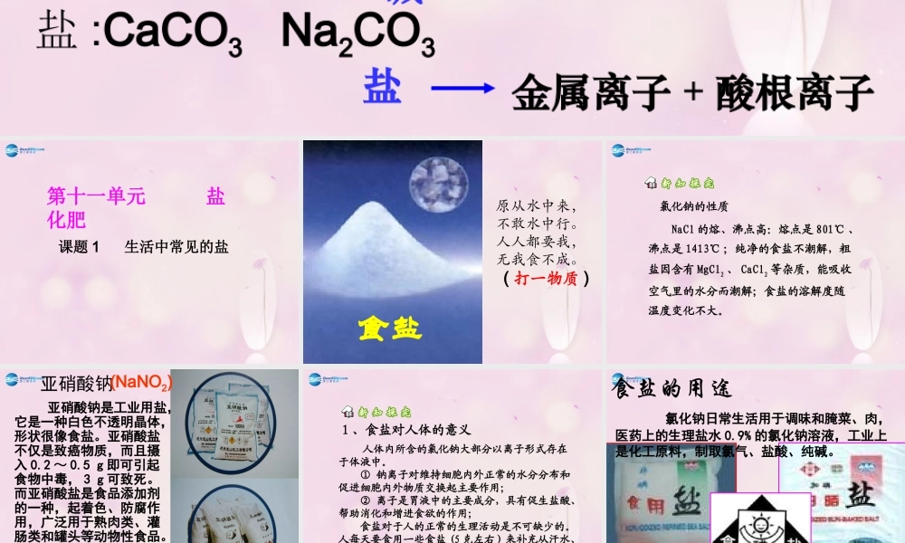 人教初中化学九下《11课题1生活中常见的盐》PPT课件 (25).ppt