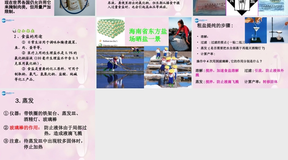 人教初中化学九下《11课题1生活中常见的盐》PPT课件 (25).ppt