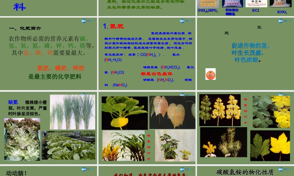 人教初中化学九下《11课题2化学肥料》PPT课件 (1).ppt