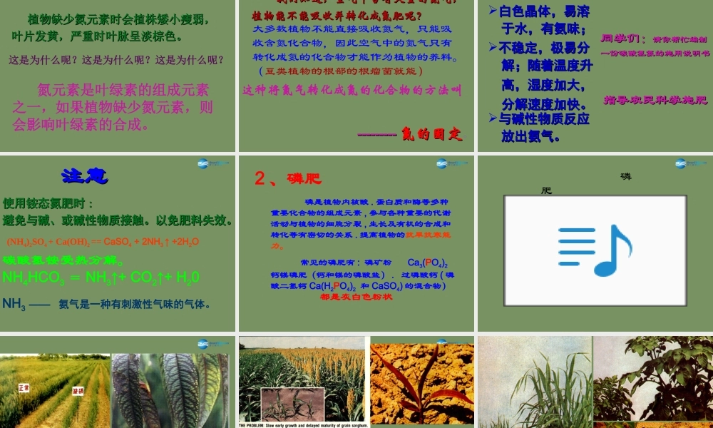 人教初中化学九下《11课题2化学肥料》PPT课件 (1).ppt