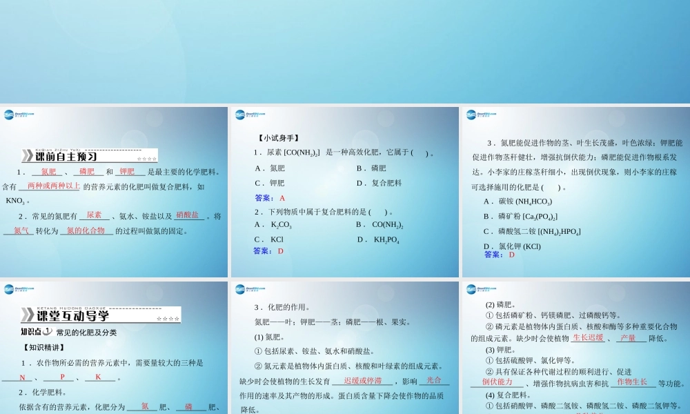 人教初中化学九下《11课题2化学肥料》PPT课件 (3).ppt