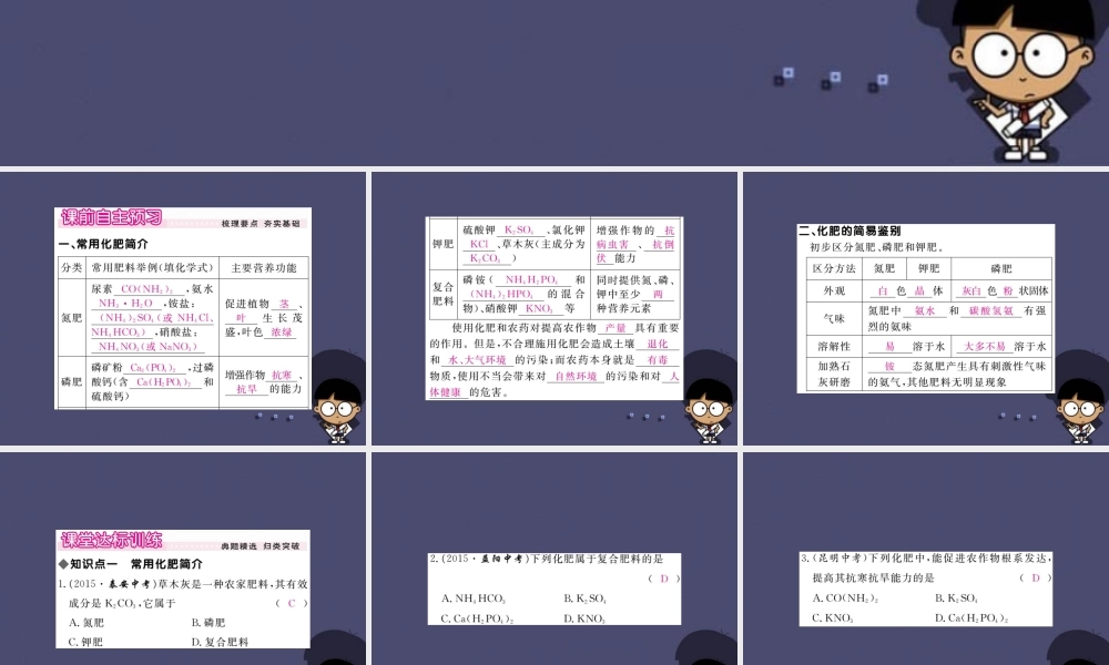 人教初中化学九下《11课题2化学肥料》PPT课件 (4).ppt