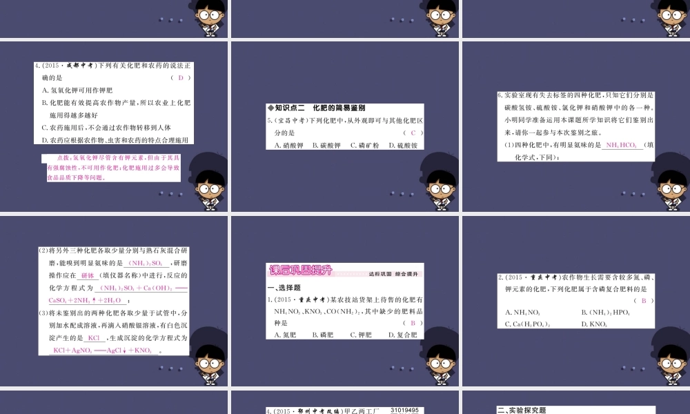 人教初中化学九下《11课题2化学肥料》PPT课件 (4).ppt