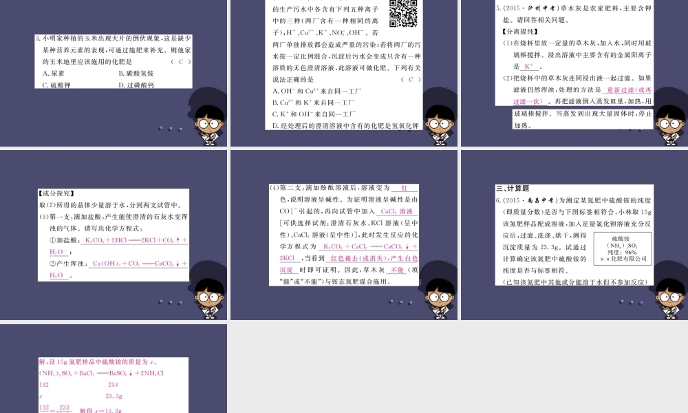 人教初中化学九下《11课题2化学肥料》PPT课件 (4).ppt