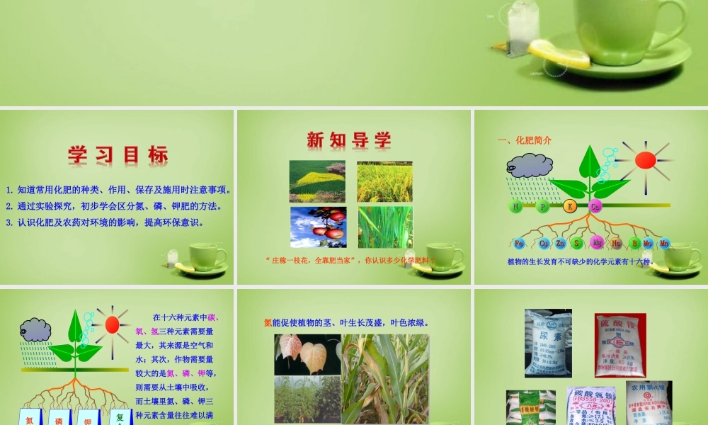 人教初中化学九下《11课题2化学肥料》PPT课件 (6).ppt