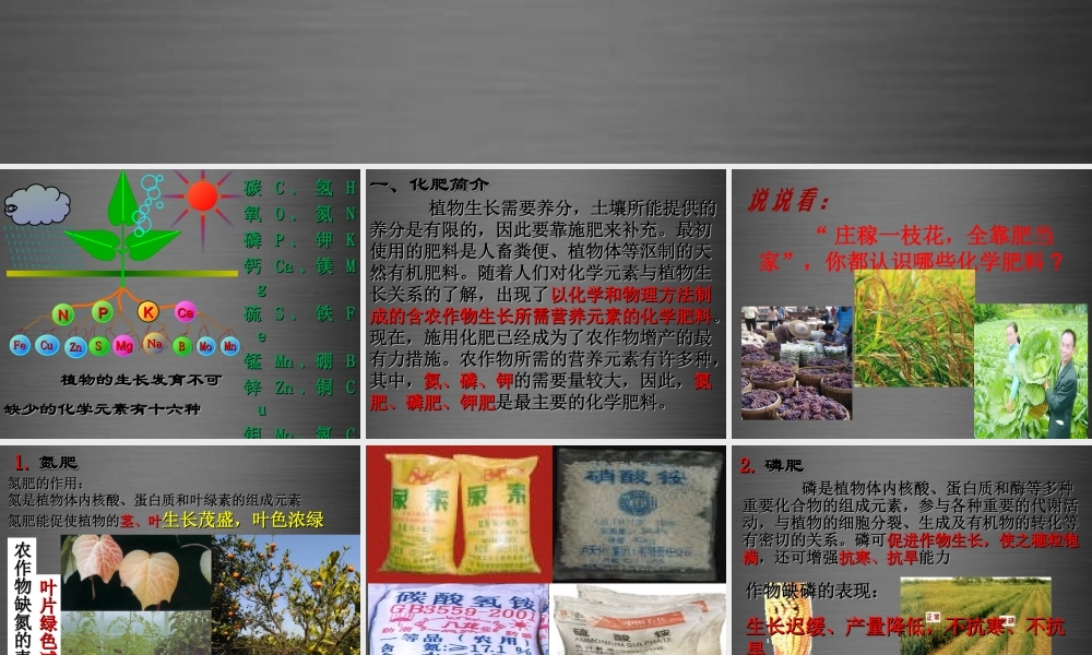 人教初中化学九下《11课题2化学肥料》PPT课件 (5).ppt
