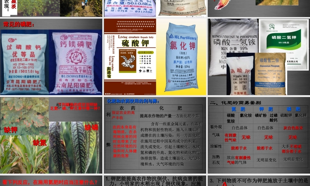 人教初中化学九下《11课题2化学肥料》PPT课件 (5).ppt