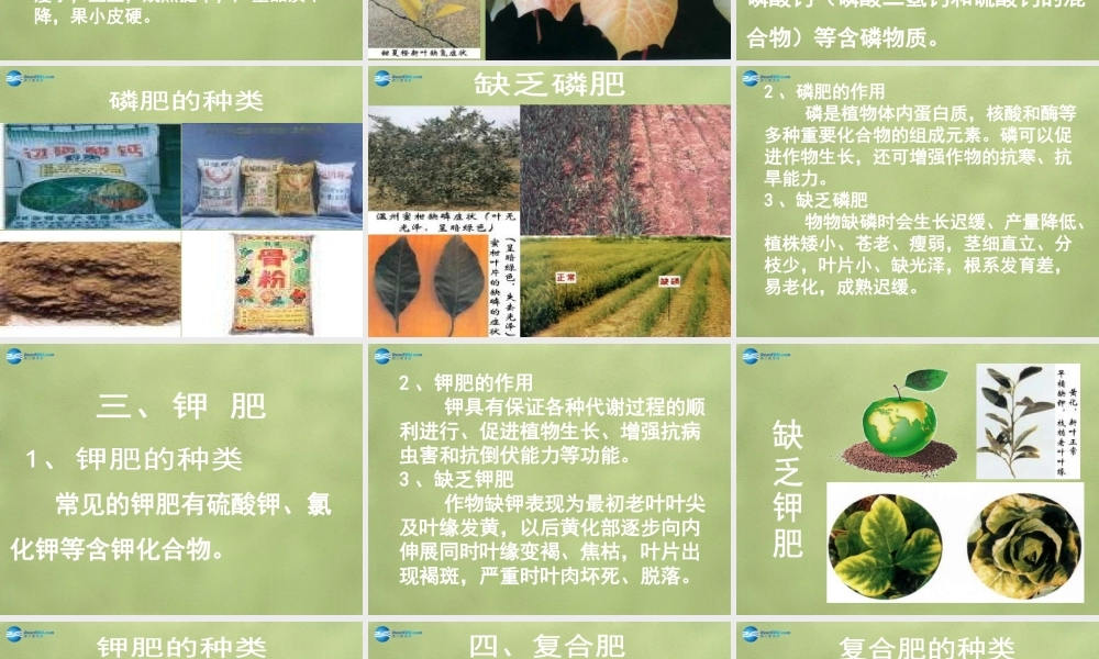 人教初中化学九下《11课题2化学肥料》PPT课件 (10).ppt