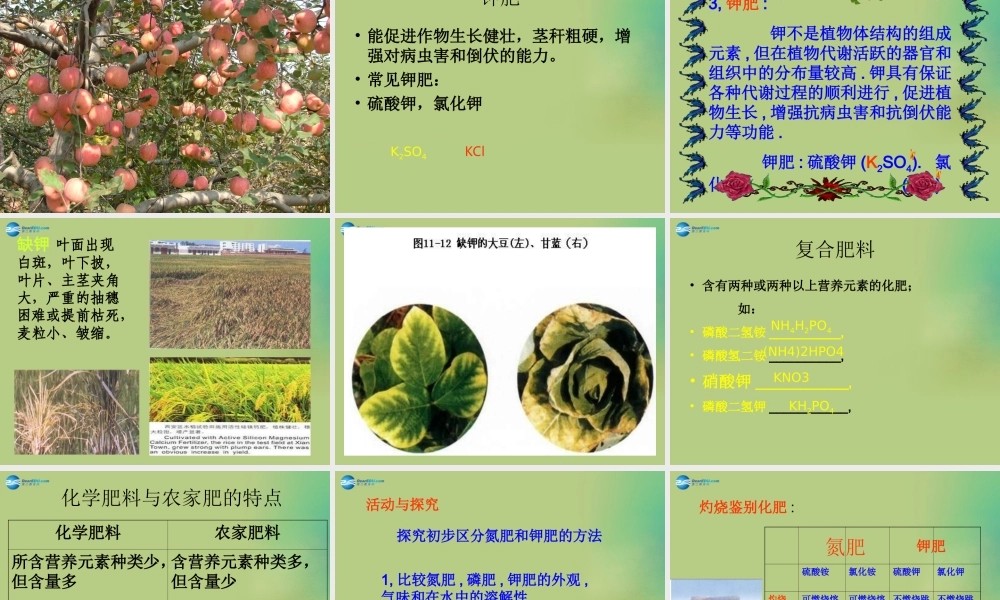 人教初中化学九下《11课题2化学肥料》PPT课件 (8).ppt