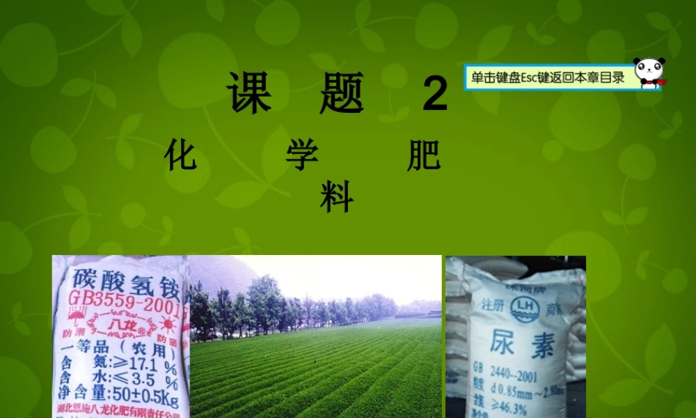 人教初中化学九下《11课题2化学肥料》PPT课件 (7).ppt