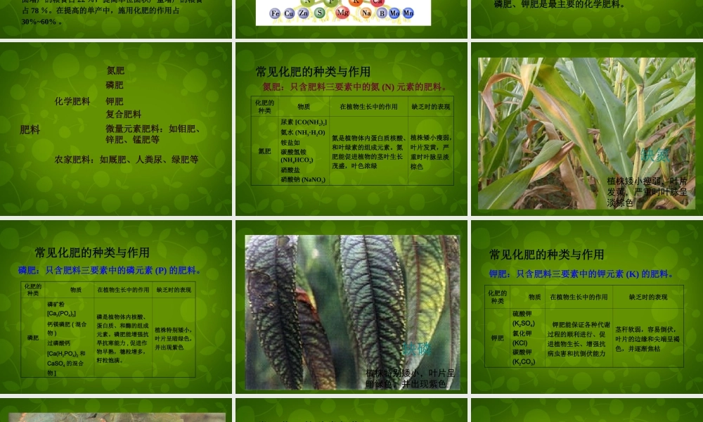 人教初中化学九下《11课题2化学肥料》PPT课件 (7).ppt