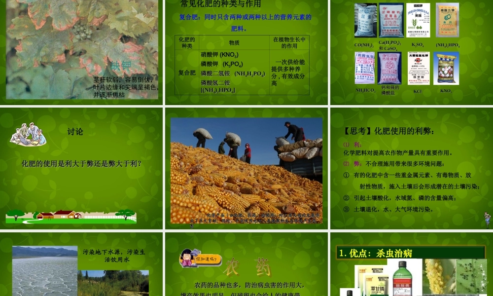 人教初中化学九下《11课题2化学肥料》PPT课件 (7).ppt