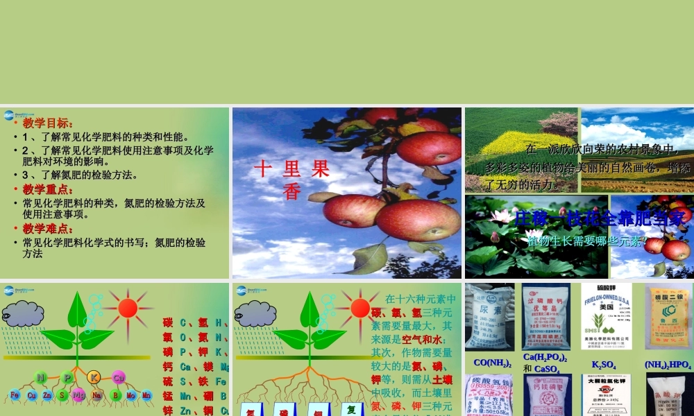人教初中化学九下《11课题2化学肥料》PPT课件 (9).ppt