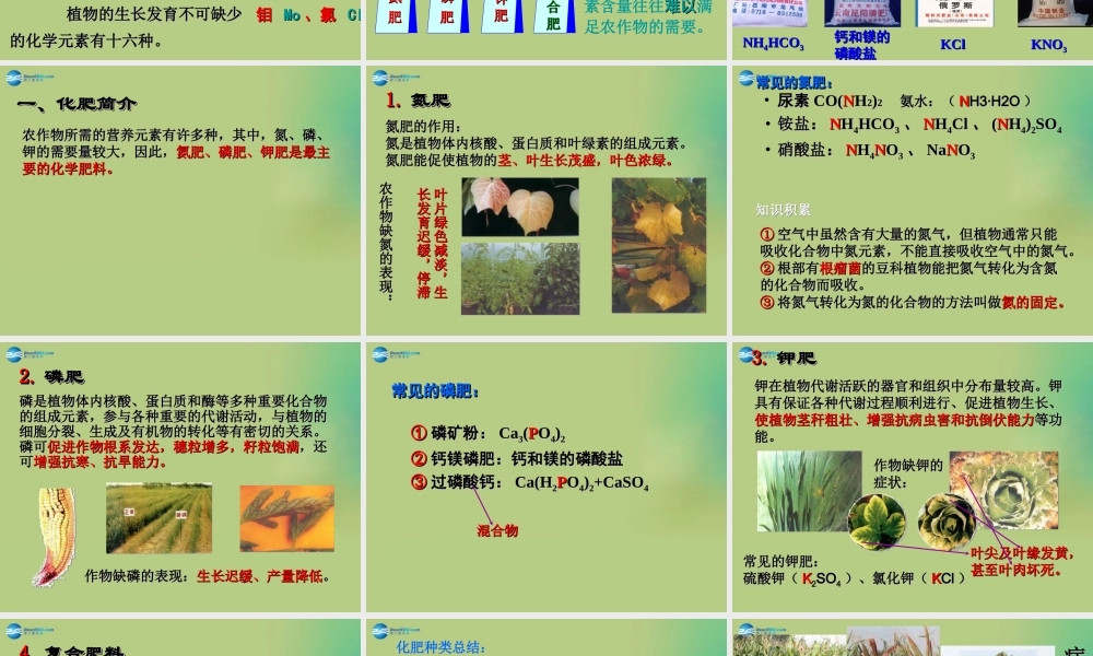 人教初中化学九下《11课题2化学肥料》PPT课件 (9).ppt