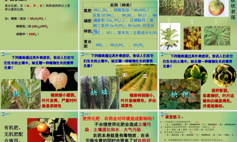 人教初中化学九下《11课题2化学肥料》PPT课件 (9).ppt