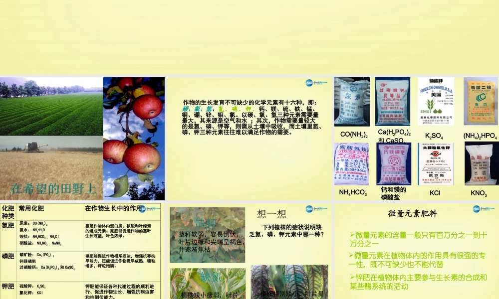 人教初中化学九下《11课题2化学肥料》PPT课件 (12).ppt