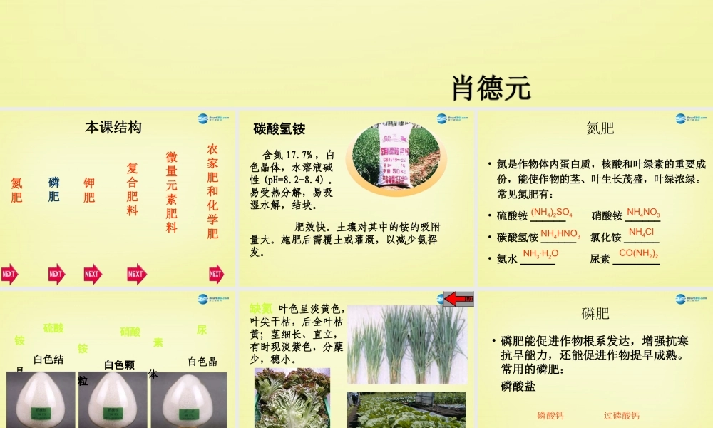 人教初中化学九下《11课题2化学肥料》PPT课件 (11).ppt