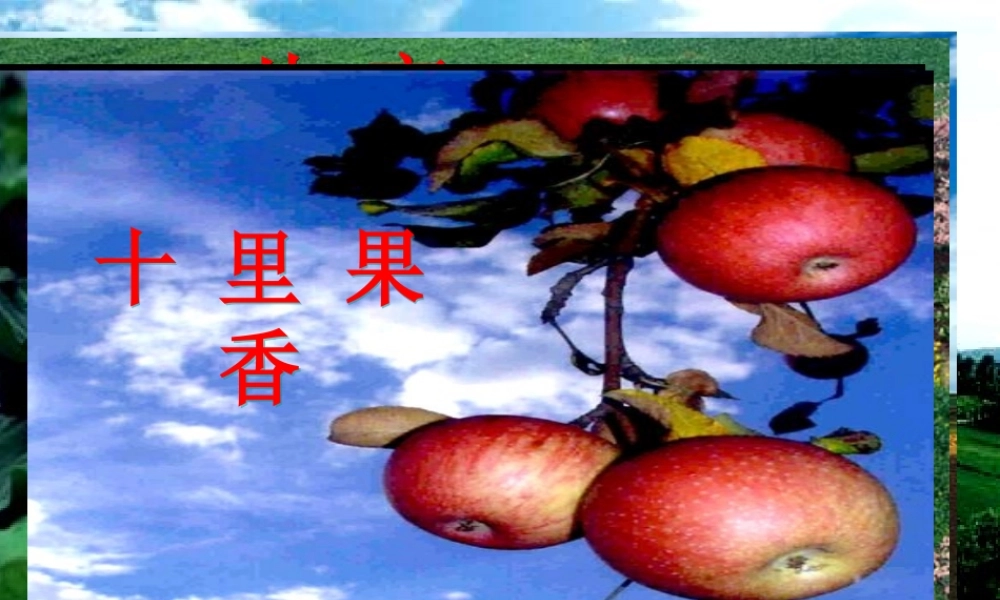 人教初中化学九下《11课题2化学肥料》PPT课件 (13).ppt