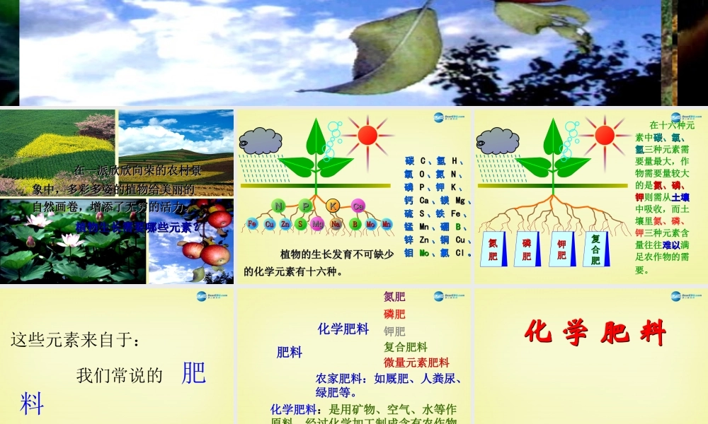 人教初中化学九下《11课题2化学肥料》PPT课件 (13).ppt