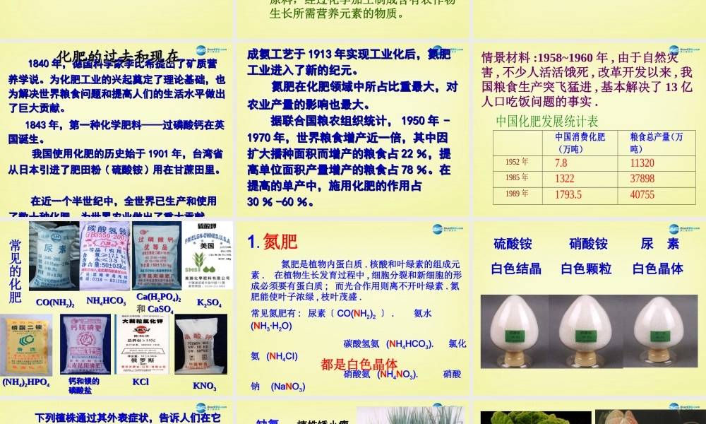 人教初中化学九下《11课题2化学肥料》PPT课件 (13).ppt