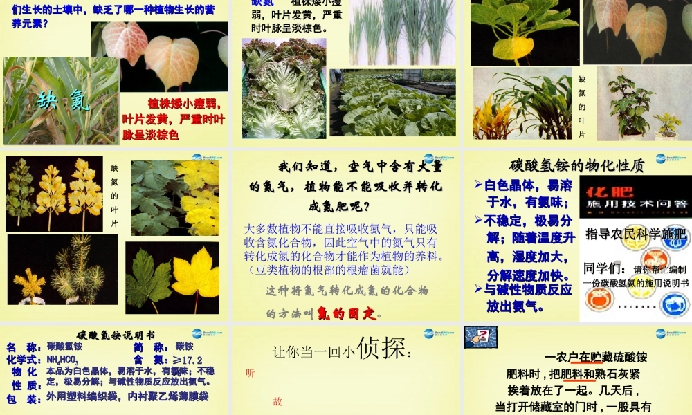 人教初中化学九下《11课题2化学肥料》PPT课件 (13).ppt