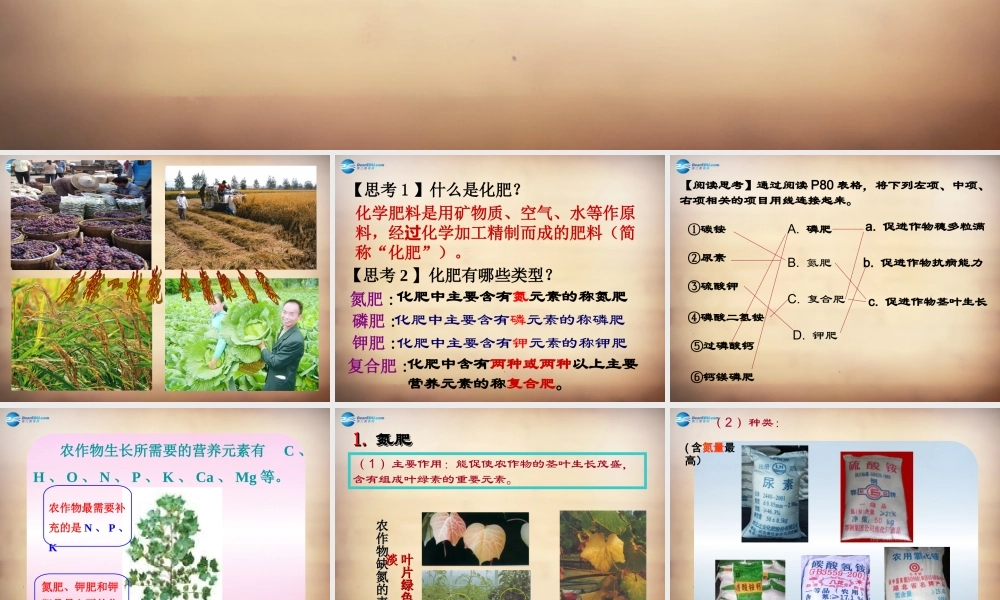 人教初中化学九下《11课题2化学肥料》PPT课件 (15).ppt