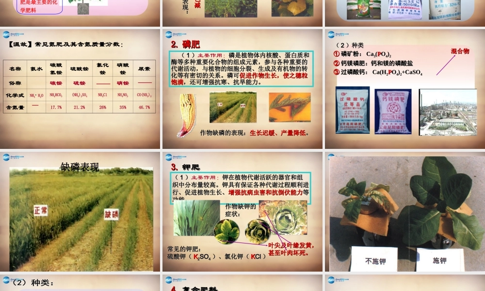 人教初中化学九下《11课题2化学肥料》PPT课件 (15).ppt