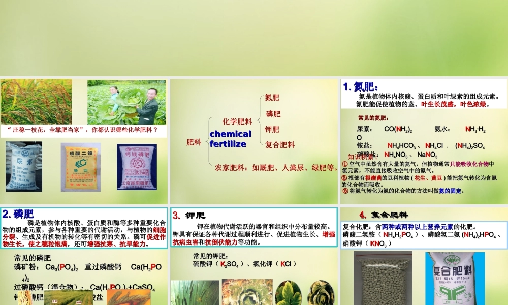 人教初中化学九下《11课题2化学肥料》PPT课件 (20).ppt