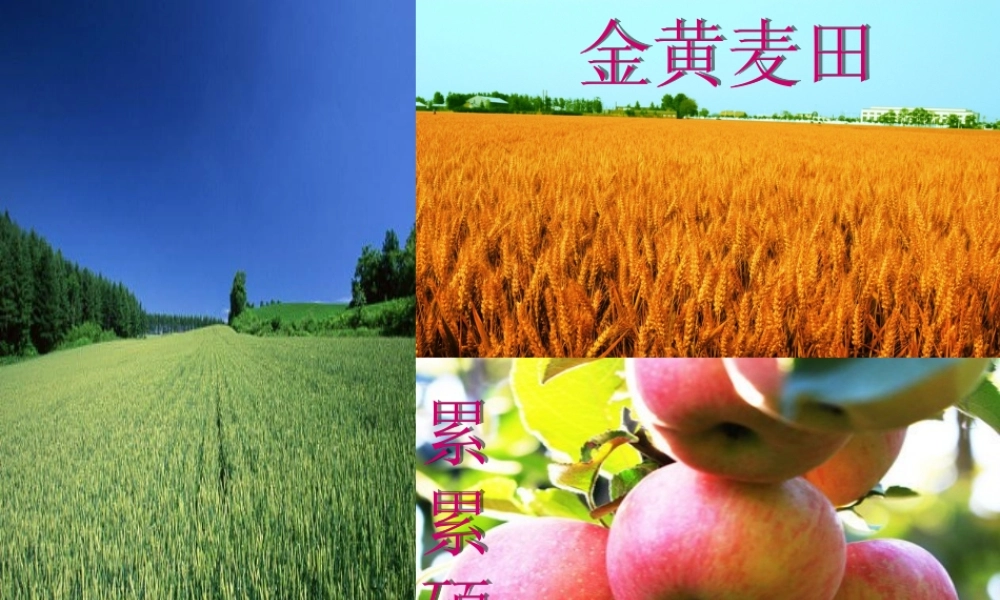 人教初中化学九下《11课题2化学肥料》PPT课件 (18).ppt