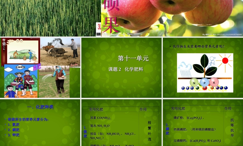 人教初中化学九下《11课题2化学肥料》PPT课件 (18).ppt