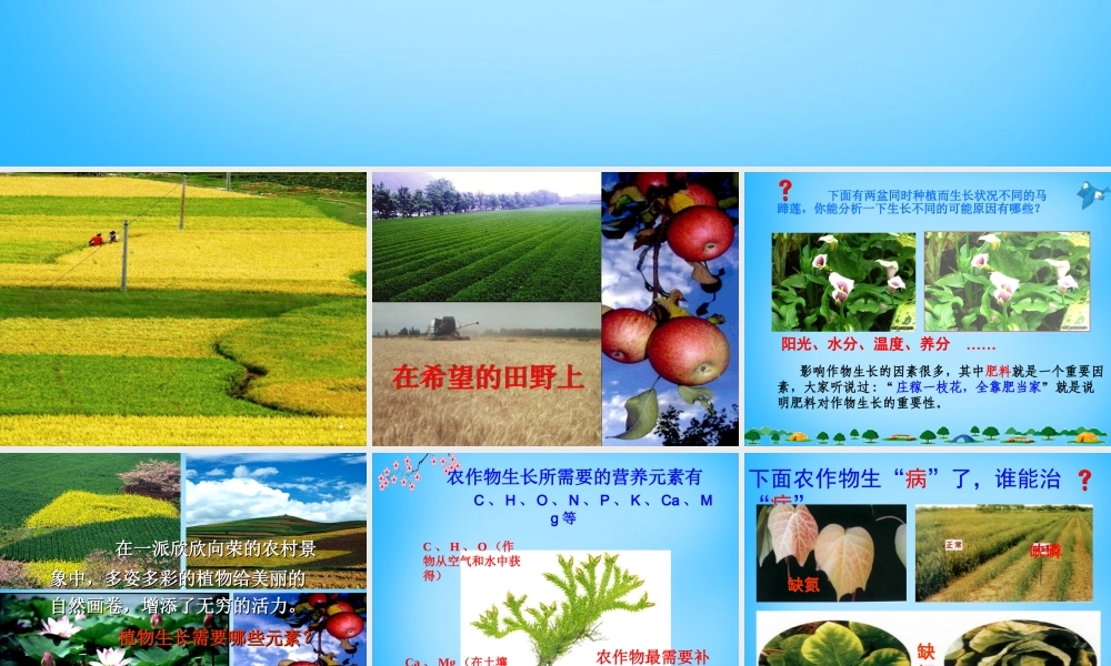 人教初中化学九下《11课题2化学肥料》PPT课件 (19).ppt