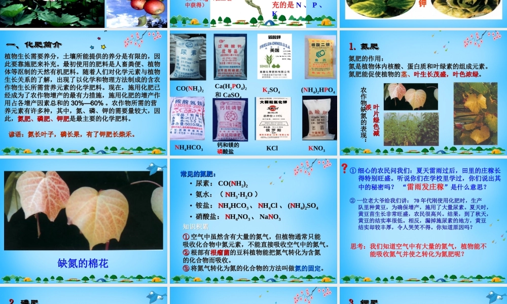 人教初中化学九下《11课题2化学肥料》PPT课件 (19).ppt