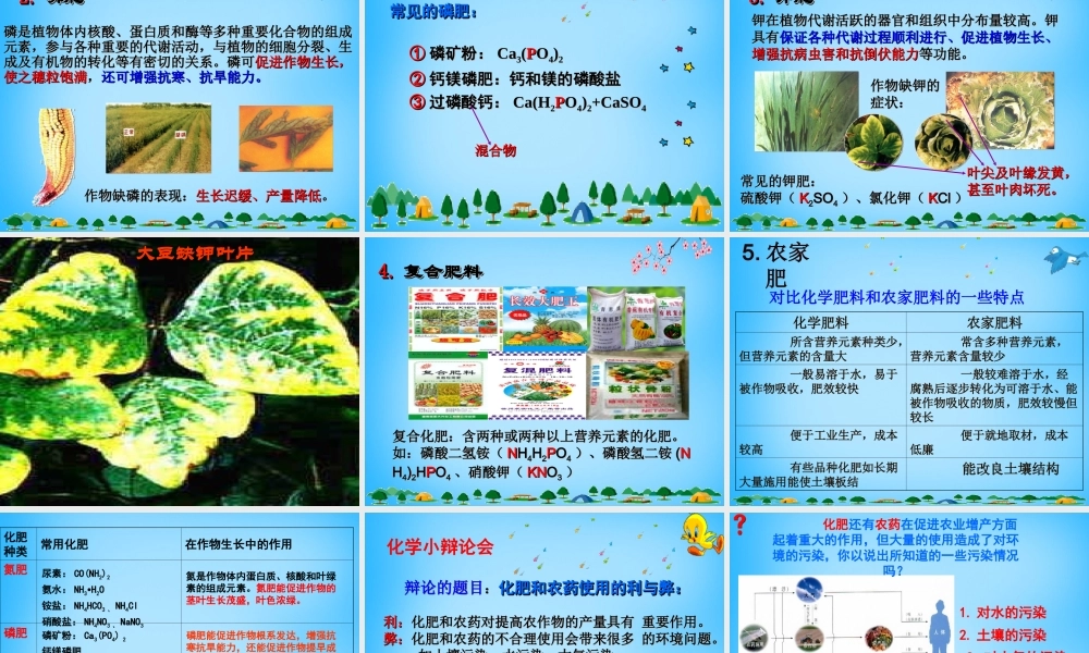 人教初中化学九下《11课题2化学肥料》PPT课件 (19).ppt