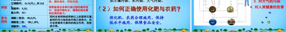 人教初中化学九下《11课题2化学肥料》PPT课件 (19).ppt