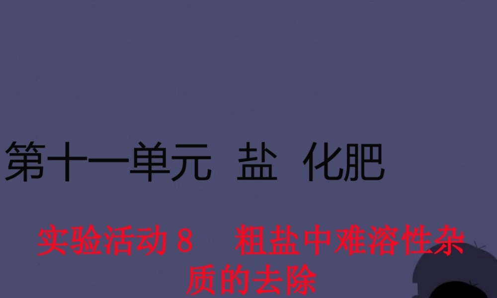 人教初中化学九下《11实验活动8粗盐中难溶性杂质的去除》PPT课件 (2).ppt