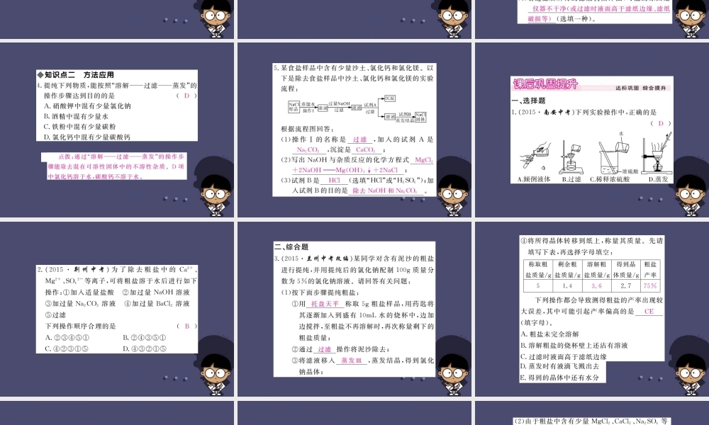 人教初中化学九下《11实验活动8粗盐中难溶性杂质的去除》PPT课件 (2).ppt