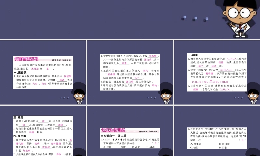 人教初中化学九下《12课题1人类重要的营养物质》PPT课件 (5).ppt
