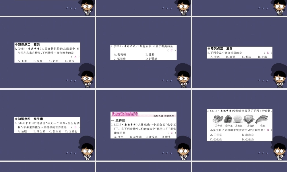 人教初中化学九下《12课题1人类重要的营养物质》PPT课件 (5).ppt