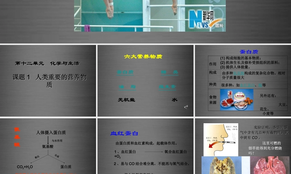 人教初中化学九下《12课题1人类重要的营养物质》PPT课件 (7).ppt