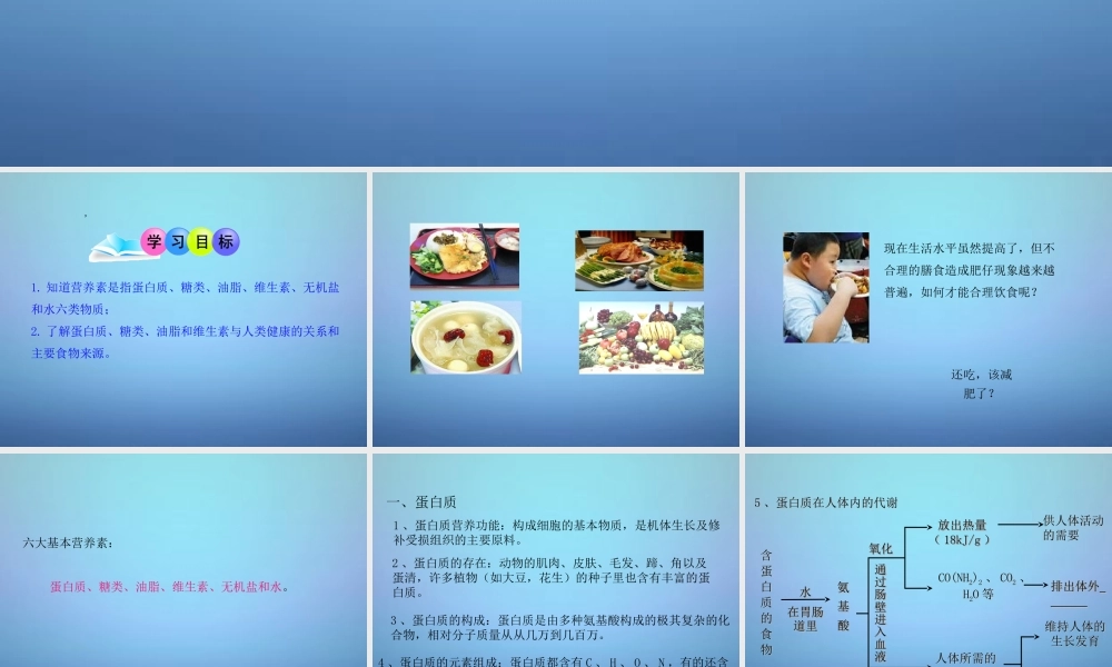 人教初中化学九下《12课题1人类重要的营养物质》PPT课件 (8).ppt