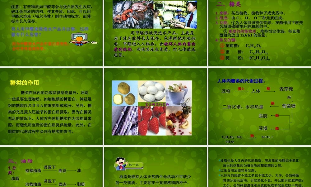 人教初中化学九下《12课题1人类重要的营养物质》PPT课件 (11).ppt