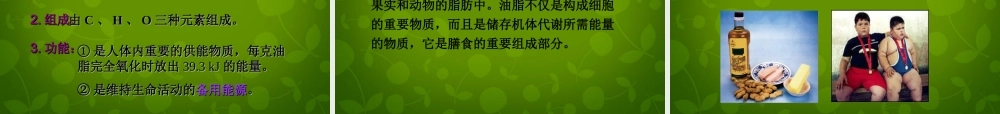人教初中化学九下《12课题1人类重要的营养物质》PPT课件 (11).ppt
